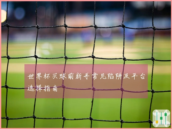 世界杯买球前新手常见陷阱及平台选择指南