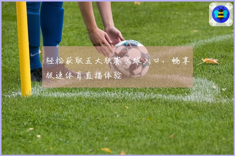 轻松获取五大联赛买球入口，畅享极速体育直播体验