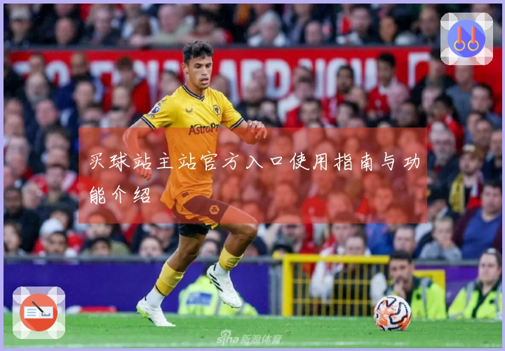 买球站主站官方入口使用指南与功能介绍