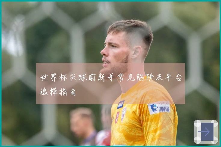 世界杯买球前新手常见陷阱及平台选择指南