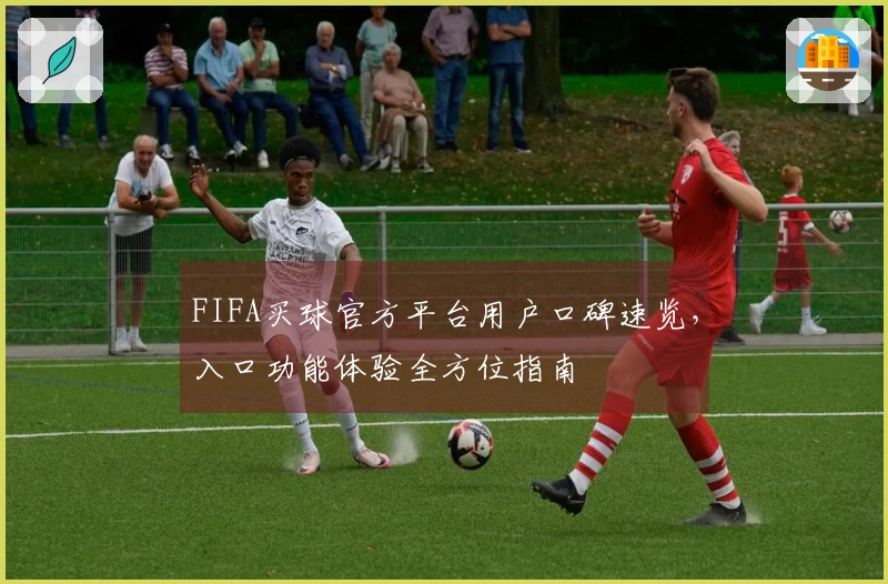 FIFA买球官方平台用户口碑速览，入口功能体验全方位指南