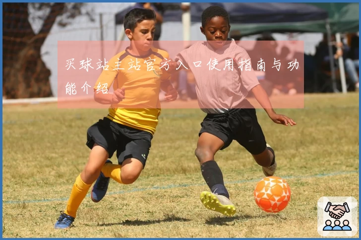 买球站主站官方入口使用指南与功能介绍