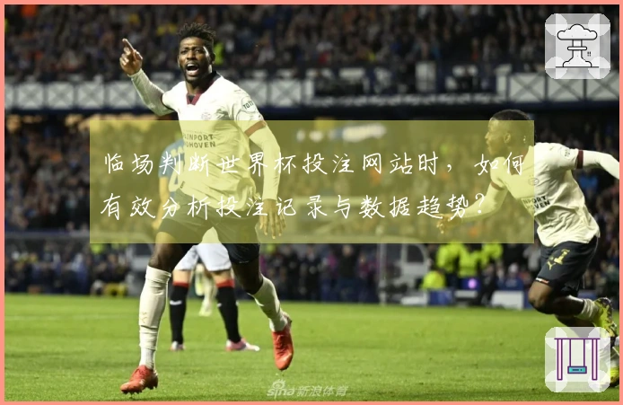 临场判断世界杯投注网站时，如何有效分析投注记录与数据趋势？