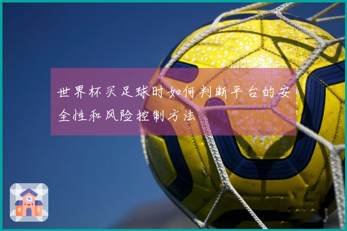 世界杯买足球时如何判断平台的安全性和风险控制方法