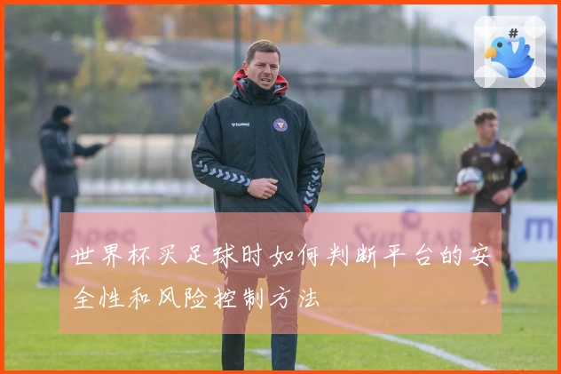 世界杯买足球时如何判断平台的安全性和风险控制方法